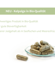 Jod aus Kelpalge Bio, 90 Kapseln