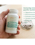 ProstaNat 90 Kapseln